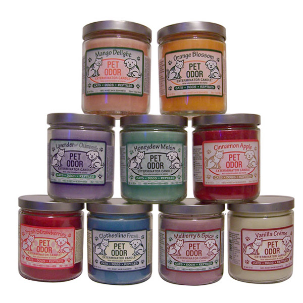 Pet Odor Exterminator 13oz Jar Candles - Case