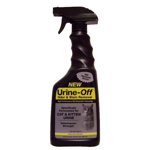 cleaning cat urine from carpets
