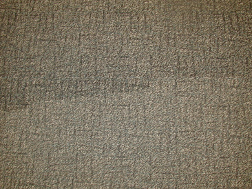 Difference In Carpet Color During Cleaning