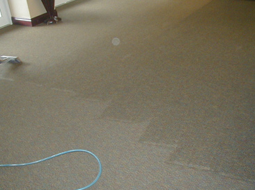 Carpet Cleaning At Harborside Christian Church In Safety Harbor Florida
