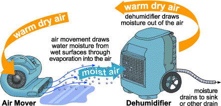 Blower and Dehumidifier Drying Process